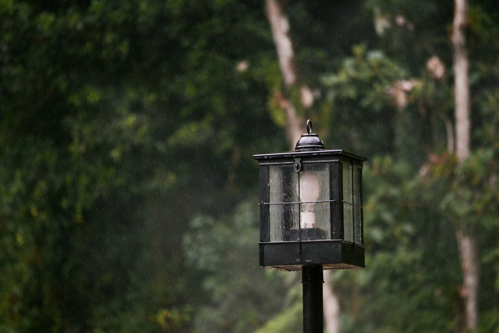Farol de exterior sobre poste bajo la lluvia en un entorno con vegetación