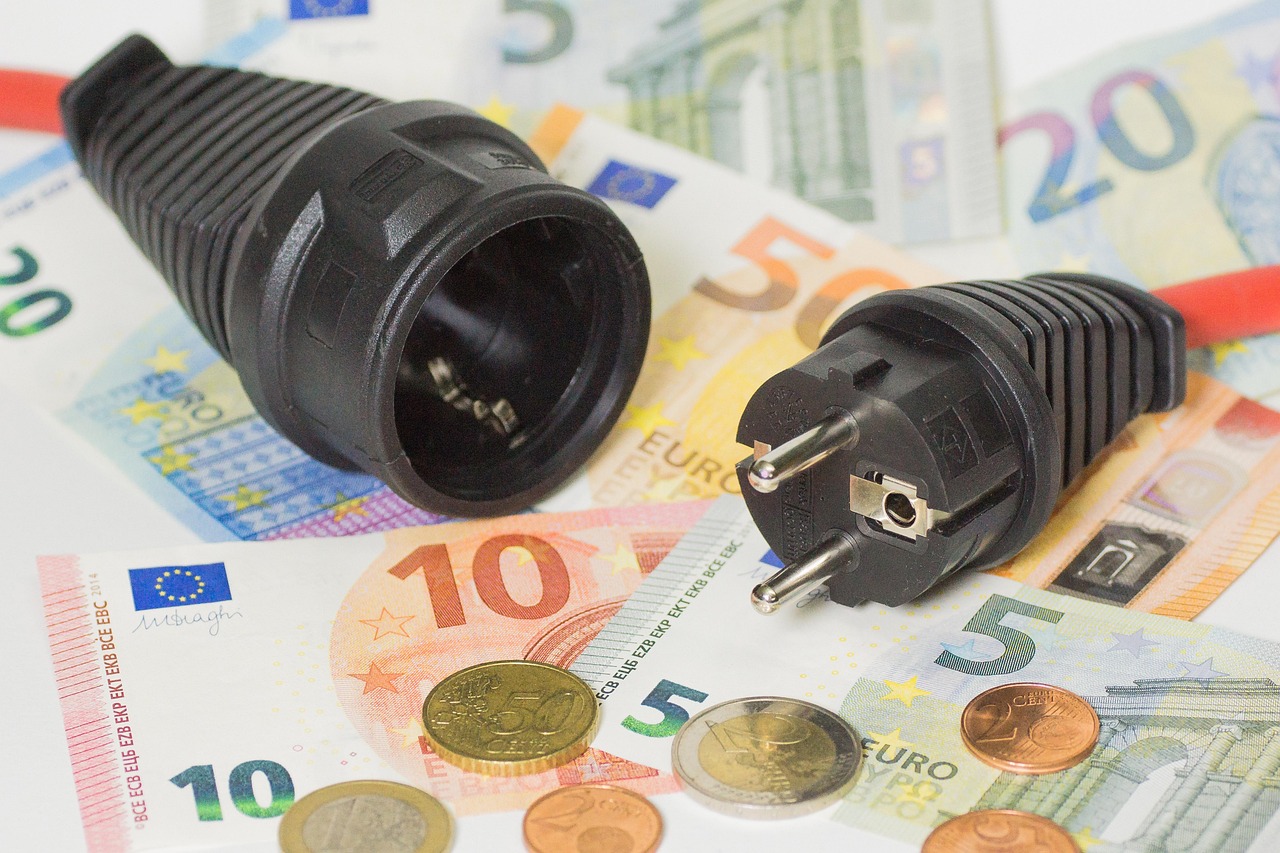Dos clavijas eléctricas schuko negras apoyadas sobre billetes y monedas de euro